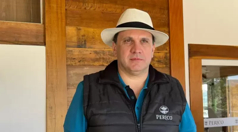 Diego Censi, da Vinícola Pericó, é o novo presidente da “Vinhos de Altitude”
